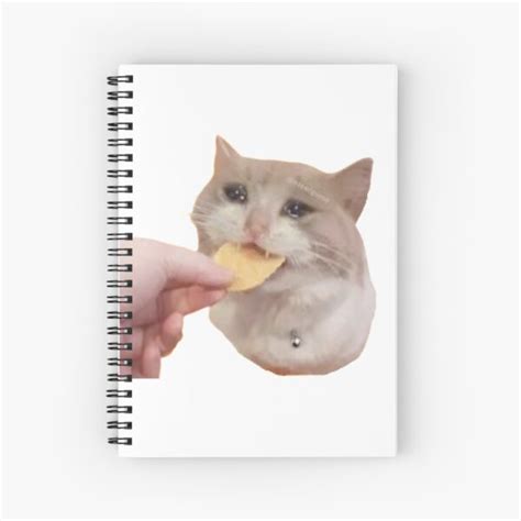 Cuaderno De Espiral Meme De Gato Llorando Meme De Gato Llorando Meme