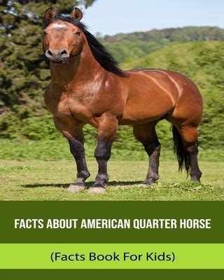 Facts About American Quarter Horse (Facts Book For Kids) by Lina Raol ...