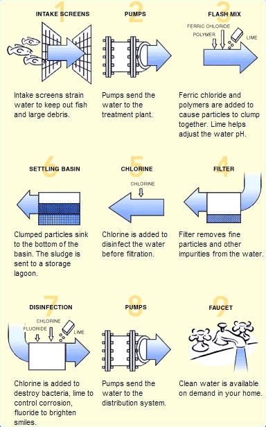 Ambe 101 Lecture 21