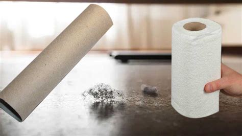 Rouleau De Papier Absorbant Ne Le Jetez Plus Car Il Peut Se