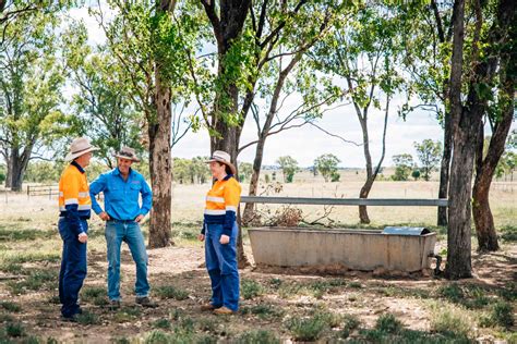 Biodiversity Offset Planning Queensland - BOOBOOK