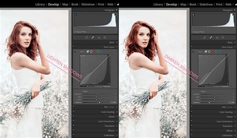 How to Use the Tone Curve in Lightroom - Pretty Presets for Lightroom