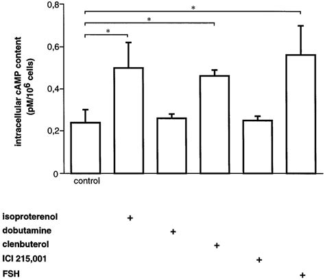 Effects of i adrenergic agonists and antagonists on cAMP production in ... 
