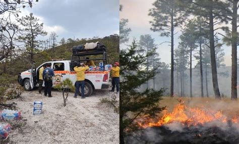 Incendios Forestales En Chihuahua Afectan Más De 5 Mil Hectáreas El