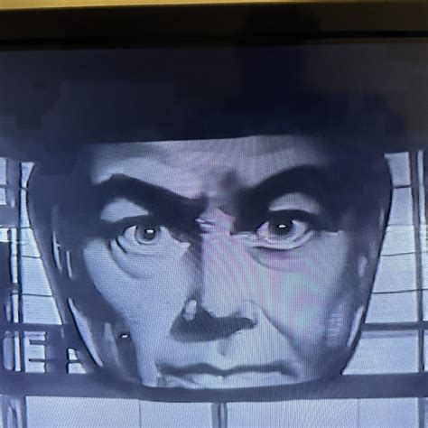 Environmental projects will soon restore the Little River natural habitat 1