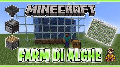 Farm Di Alghe Minecraft Youtube