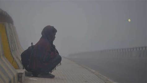 Cold Wave Conditions In India See State Wise Updates