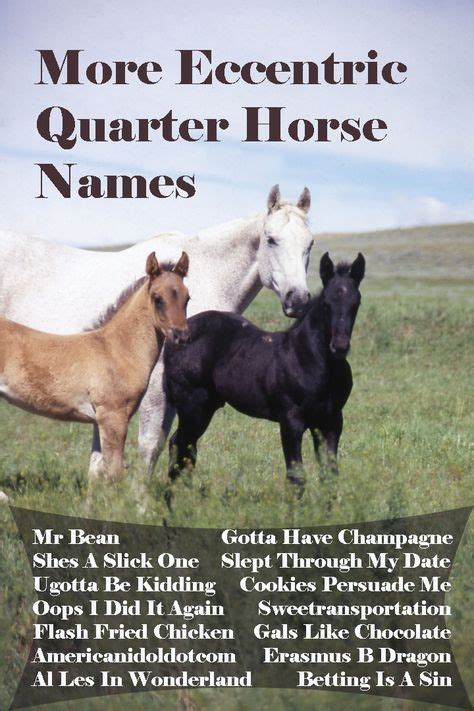 24 Fun Foal Names ideas | horse names, aqha, quarter horse