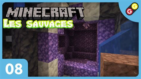 Minecraft Les Sauvages On Trouve Des G Odes D Am Thyste Fr