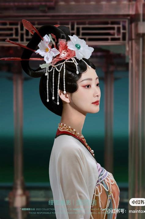 Hanfu漢服 Chinese Tang Dynasty Traditional Clothing Hanfu Hairstyle