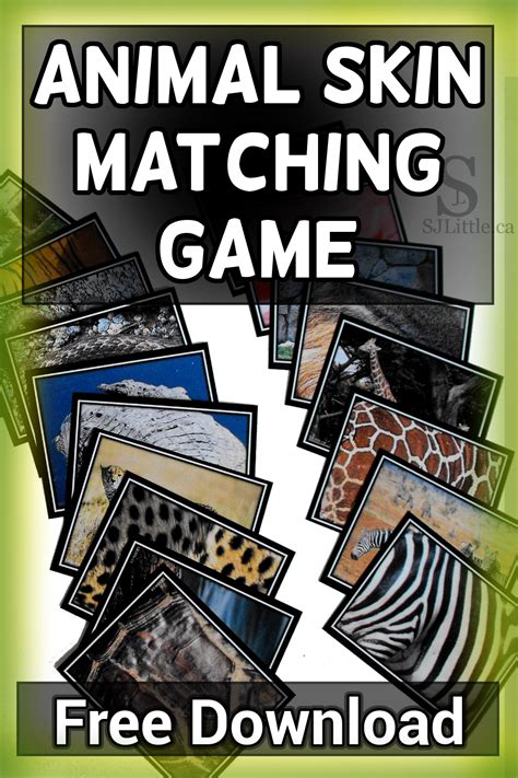 Free Animal Skin Matching Game Zoo Animals Preschool Zoo