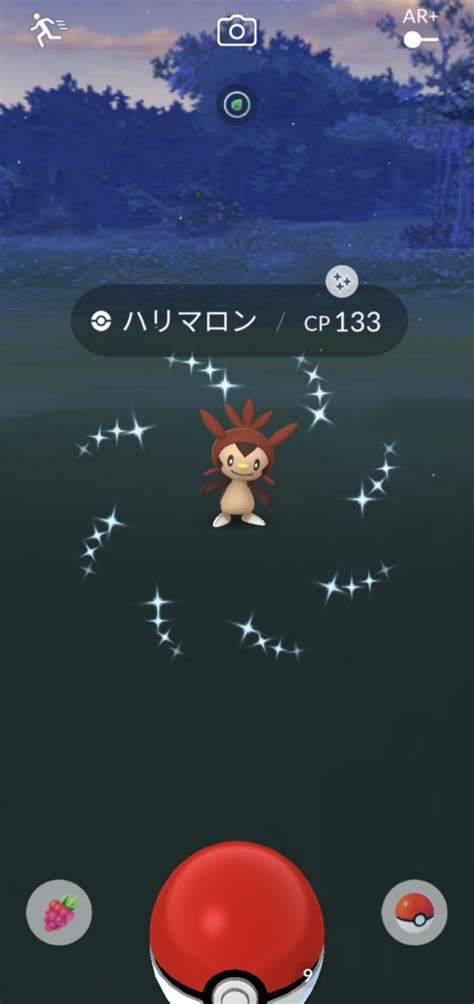 【ポケモンgo】ハリマロンのコミュニティ・デイお疲れ様でした！ 蒼鷹 Blog