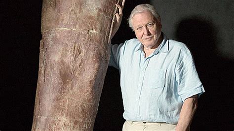 Titanosaur: David Attenborough to unveil skeleton model of world’s biggest dinosaur | news.com ...