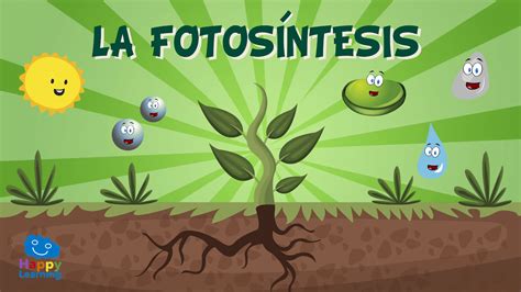 V Deo Educativo La Fotos Ntesis C Mo Se Alimentan Las Plantas