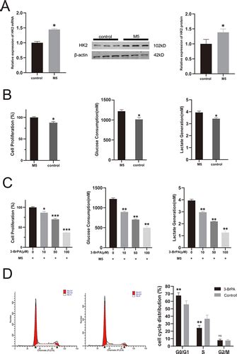 Full Article Inhibition Of Key Glycolytic Enzyme Hexokinase