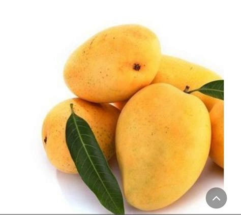 Sticky Yellow Fresh Organic Mango Carton Packaging Size 5 Kg At Rs