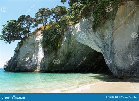 Cathedral Cove beach stock photo. Image of green, ocean - 15176860