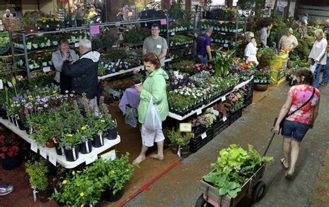 Master Gardeners Plant Sale Set For Friday Saturday Forsyth News