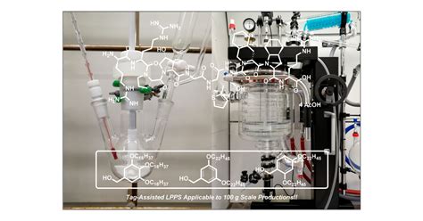 Improved Tag Assisted Liquid Phase Peptide Synthesis Application To