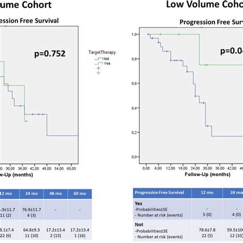 Progression Free Survival Probability According To Tumor Burden Log