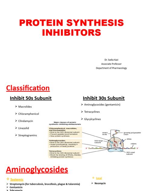 Protein Synthesis Inhibitors | PDF | Causes Of Death | Medicine