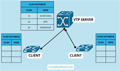 Qué es VTP VLAN Trunking Protocol Comprende su Función