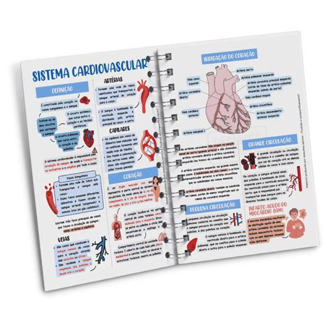 Resumos De Anatomia Humana PDF Impresso Resumos Aprova