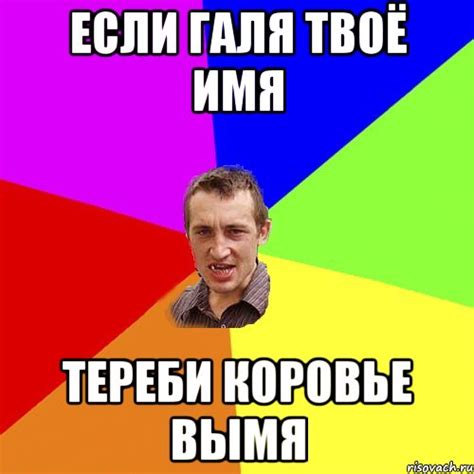 Ответы Mail: Топ 5 обзывалок на имя галя