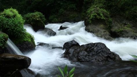 Sungai Terindah Di Indonesia Ada Yang Terpendek Di Dunia