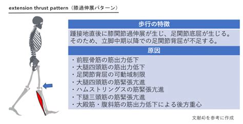 【脳卒中】膝関節過伸展に対する介入とエビデンス 理学療法士・作業療法士・言語聴覚士の求人、セミナー情報なら【post】