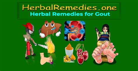 Best Herbal Remedies For Gout 1 Tart Cherries For Gout