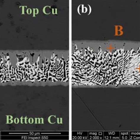 The Sem Images Of A Cu Sn Bi Cu And B Cu Sn Bi Aln Cu Solder