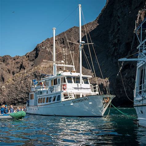 Galapagos Islands Cruises > Basic Galapagos Cruises > GreenGo Travel