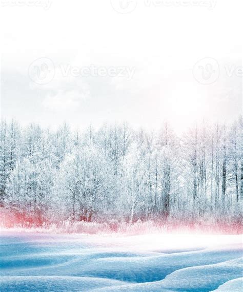 Frozen winter forest with snow covered trees. 9894092 Stock Photo at Vecteezy