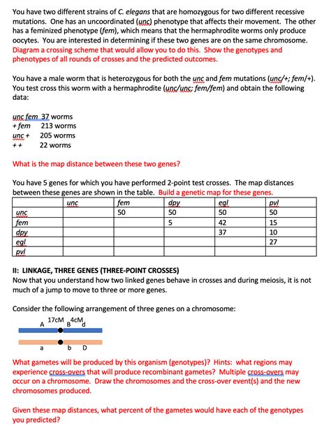 You have two different strains of C. elegans that are | Chegg.com