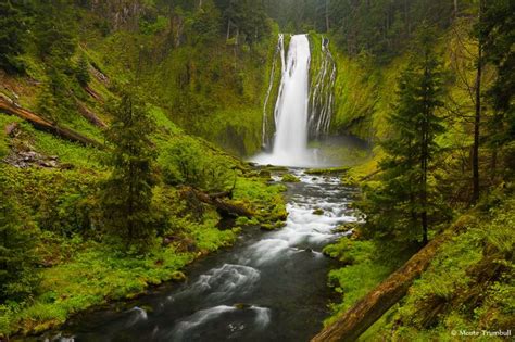 Lemolo Falls, Umpqua National Forest | Oregon | Pinterest | National ...