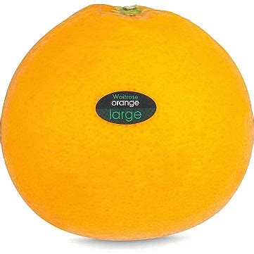 Top 13 Navel Oranges Where To Buy Them Trolley Co Uk