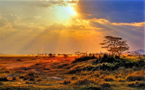 Garden Route Safari | Kruger, South Africa | Newmarket Holidays