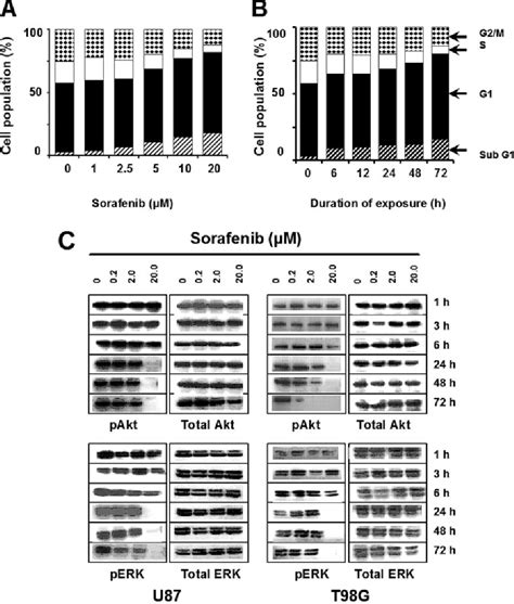 Figure 3 From Coadministration Of Sorafenib With Rottlerin Potently