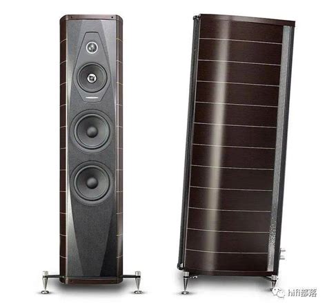 意大利 世霸 Sonus Faber Olympica Nova III 歌剧院新星3号 落地音箱 faber 扬声器 振膜