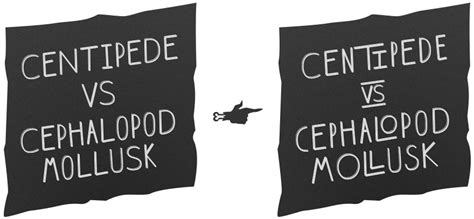 Шрифт Зет