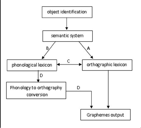 Phonology is not accessed earlier than orthography in Chinese written ...