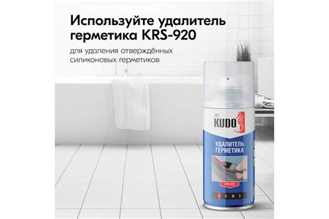 Удалитель силикона KUDO 520 мл 11597215 - выгодная цена, отзывы ...