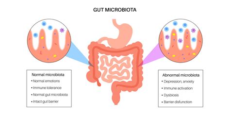 Probiotics, microbiome, and gut health: a simple, quick review