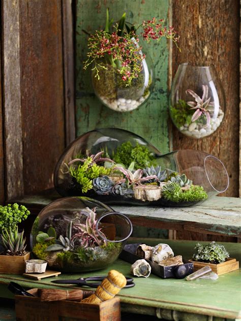 Succulents In Beautiful Terrariums Hanging Terrarium Plants Garden