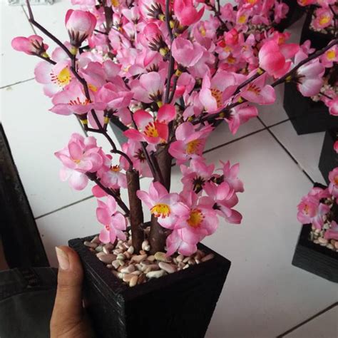 Contoh Bunga Sakura Dari Plastik Yang Wajib Diketahui Informasi