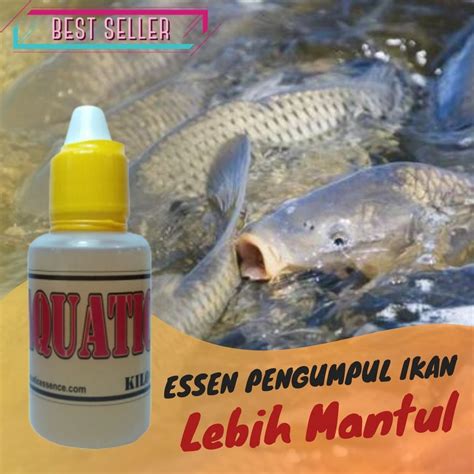 Jual Essen Umpan Ikan Mas Kilo Gebrus Oplosan Essen Untuk Umpan Ikan