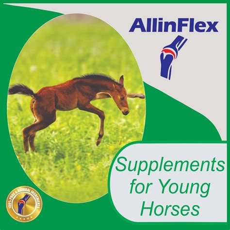 Premium Horse Joint Supplement With Complete Nutrition For Healthy