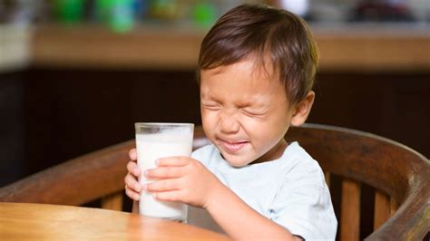 Intolerancia a la lactosa Cómo afecta este mal la salud de los niños