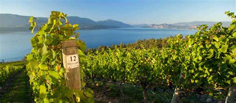 Discover the Wines, Wineries and Vineyards of British Columbia | Wine BC